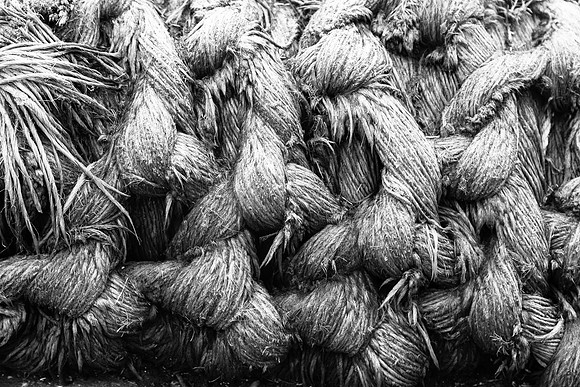 5022 Old rope