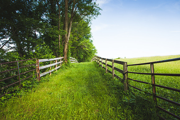 9044 Countryside