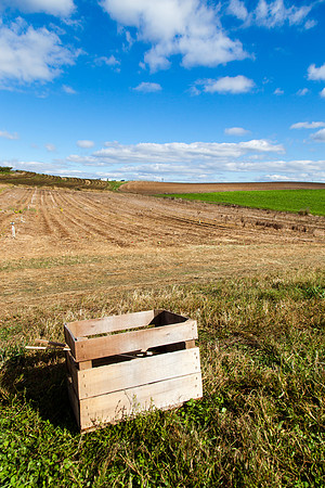 9045 Crate in the field