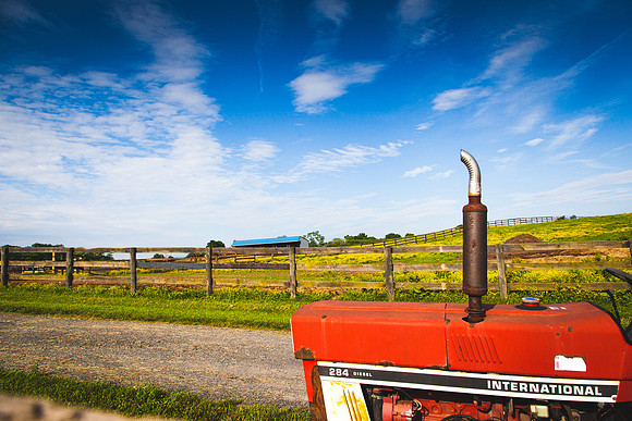 9046 Farm landscape