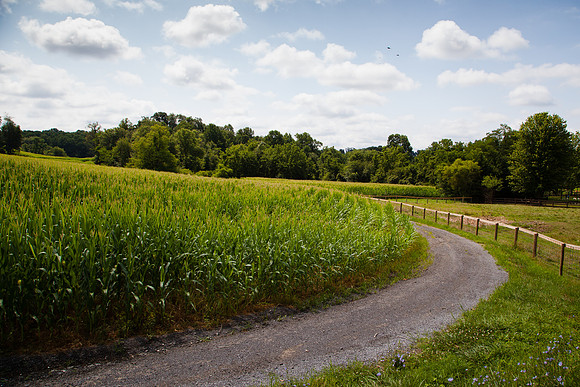 9050 Corn farm II
