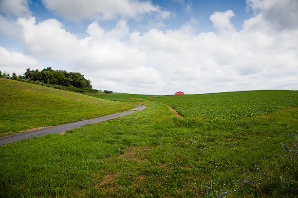 9051 Green fields