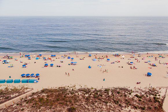 1081 Ocean City Beach II