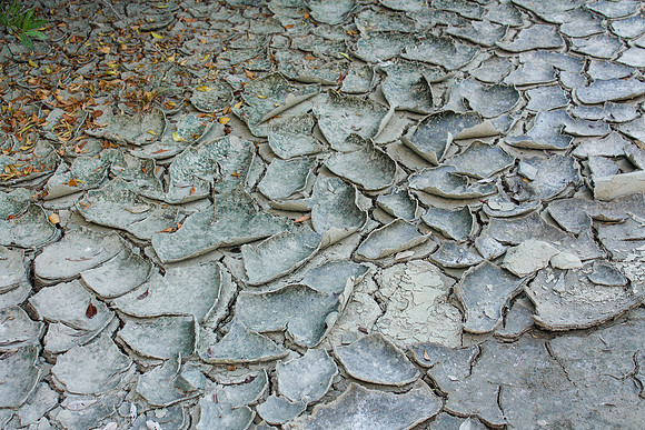 5024 Dry soil texture