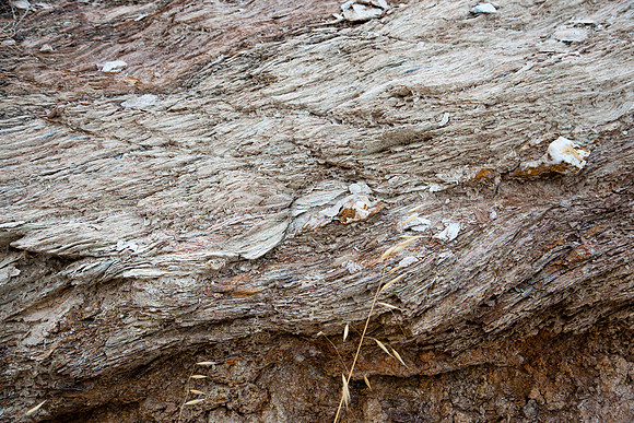 5027 Texture II