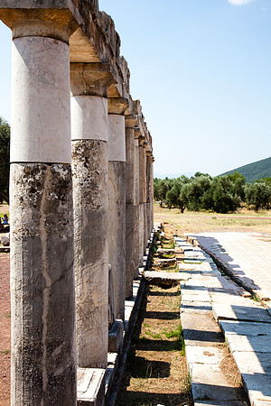 0146 Old Columns, Messenia