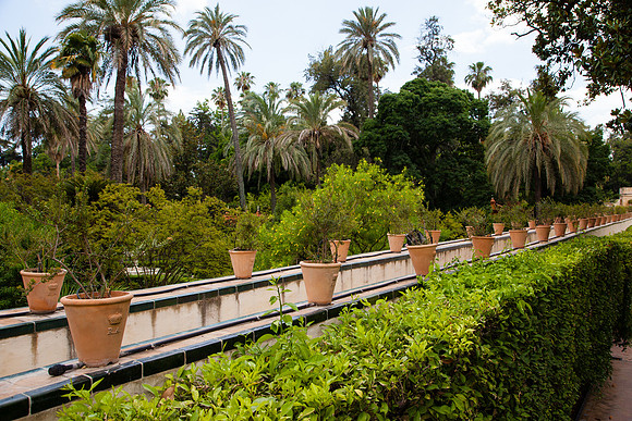 2070 Palm garden, Granada