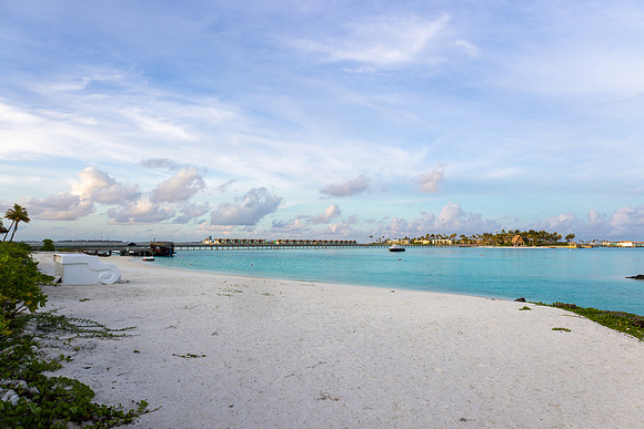 1118 White sand beach, Maldives