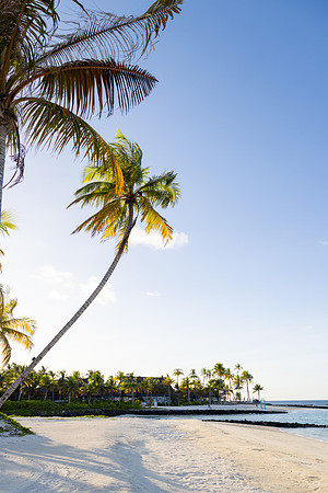 1130 Tropical beach, Maldives
