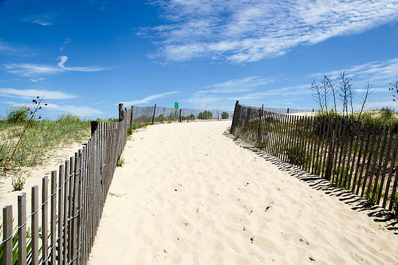 1109 Dune, Delaware