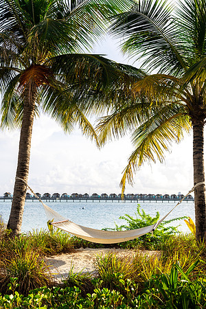 1131 Hammock swing, Maldives