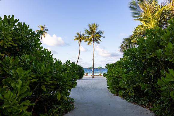 1110 Path to a beach, Maldives