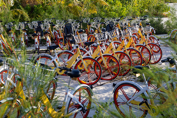 5057 Bicycles