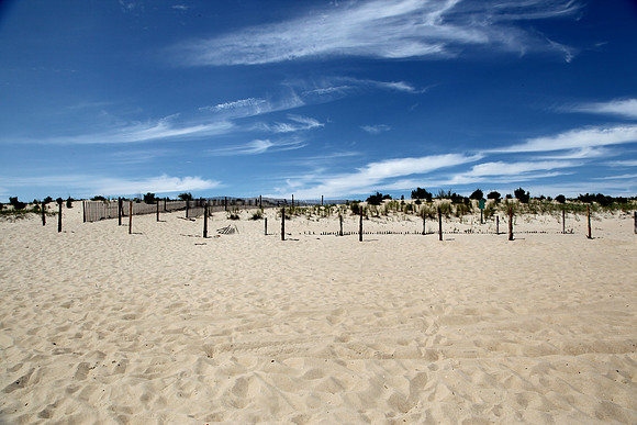 1108 Sand beach