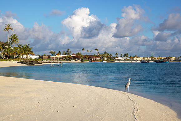 1119 Calm beach, Maldives