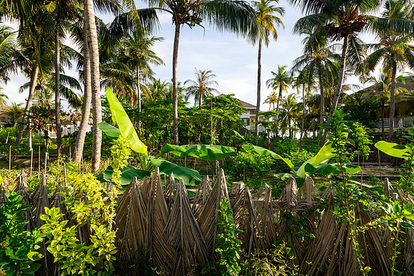 2126 Garden