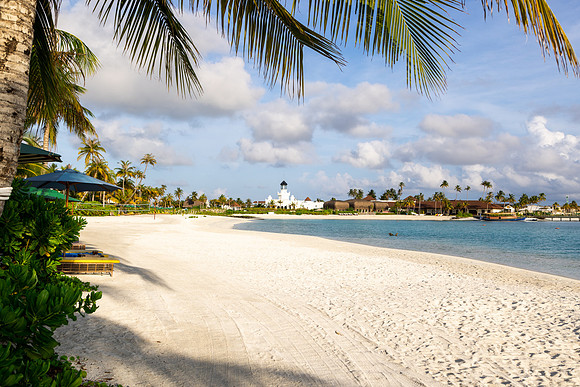1148 Under palm trees, Maldives