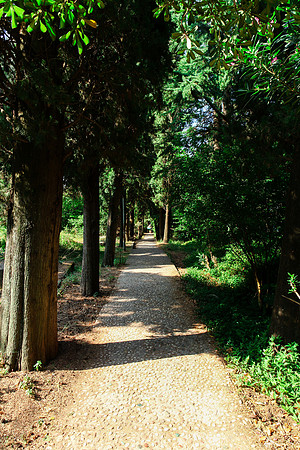 0269 Cypress lane, Montenegro