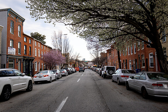 7032 City in Spring