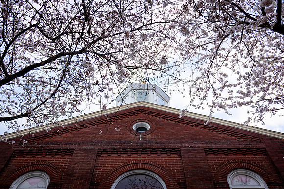 7028 Church house