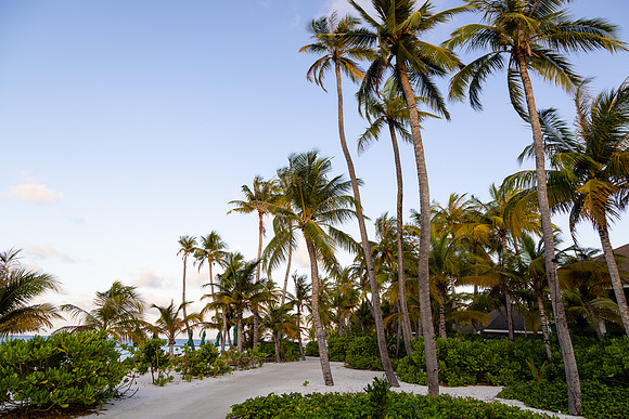 1122 Breeze, Maldives
