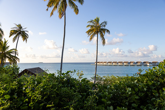 0248 Paradise, Maldives